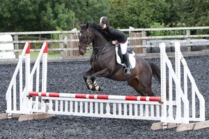 Class 3 -  Fences not above 2'3